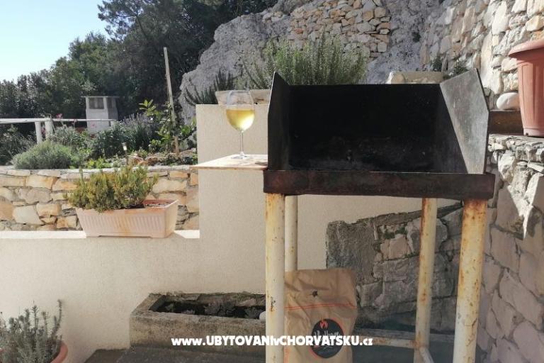 Apartamenty Cannela Oasis – foto 12