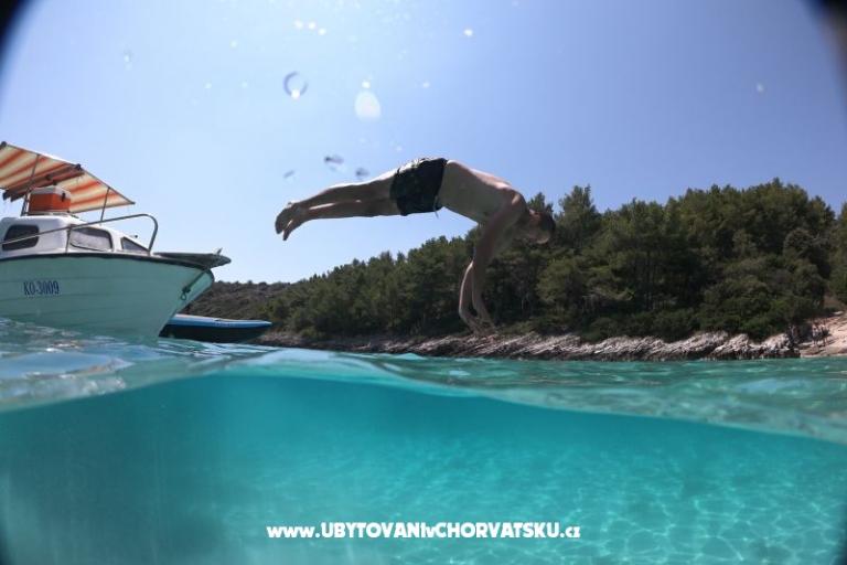 Apartamenty Cannela Oasis – foto 14