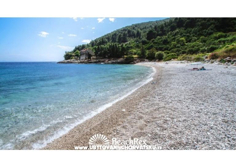 Apartamenty Cannela Oasis – foto 15