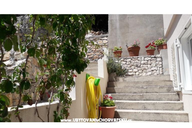 Apartamenty Cannela Oasis – foto 7