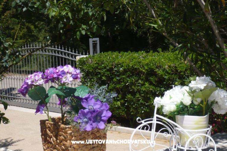 Apartamenty Zana – foto 13