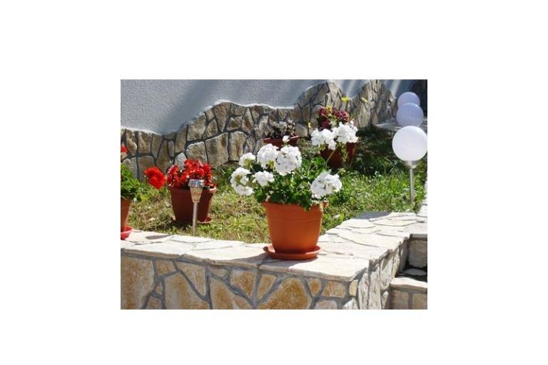 Apartamenty Zana – foto 14