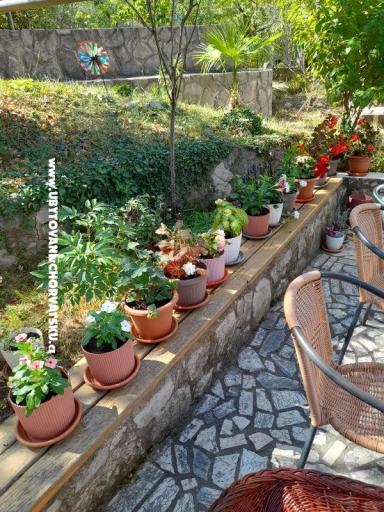 Apartamenty Zana – foto 43