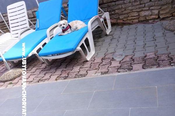 Apartamenty Fides – foto 21