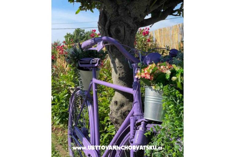 Dom wakacyjny Bepina – foto 20