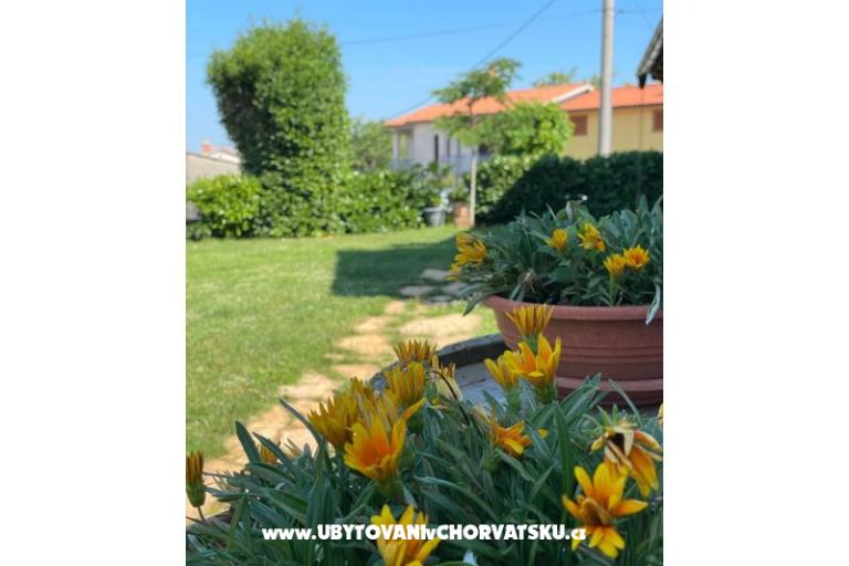 Dom wakacyjny Bepina – foto 21