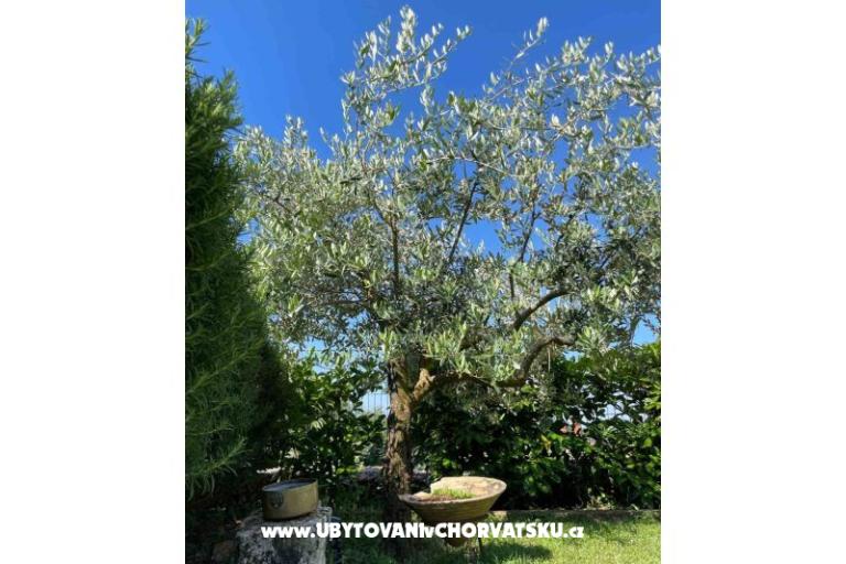 Dom wakacyjny Bepina – foto 23