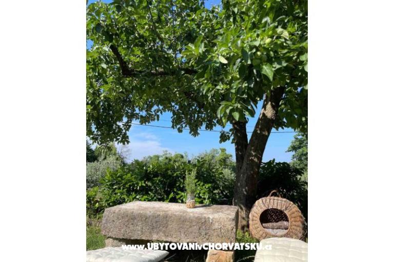 Dom wakacyjny Bepina – foto 24