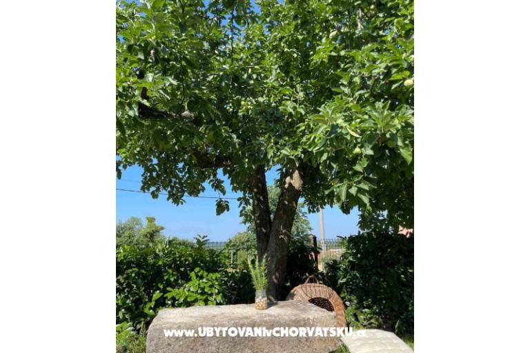 Dom wakacyjny Bepina – foto 27