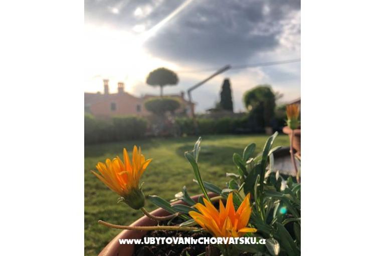 Dom wakacyjny Bepina – foto 29