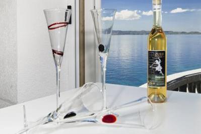 Vila Rozy – foto 16