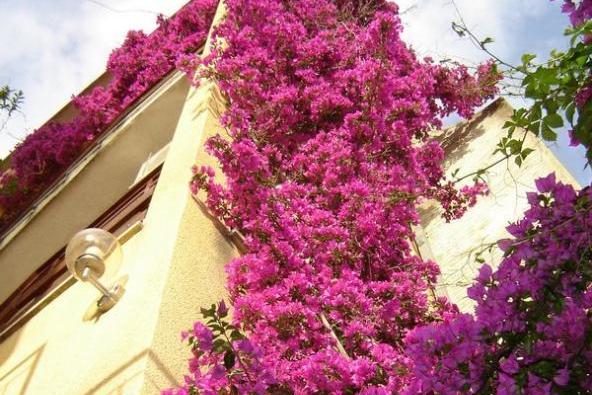 Vila Ventus – foto 16