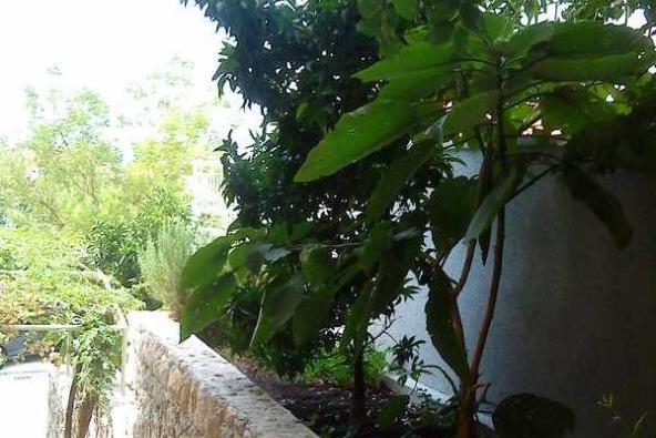 Vila Ventus – foto 17