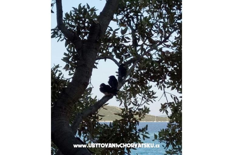 Luxury Villa Marin Apartamenty – foto 17