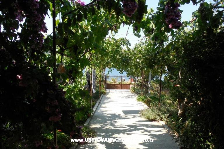 Dom Marino – foto 10