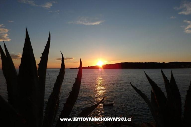 Apartamenty Petra  – foto 18