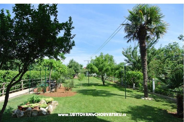 Apartamenty Sofia – foto 3