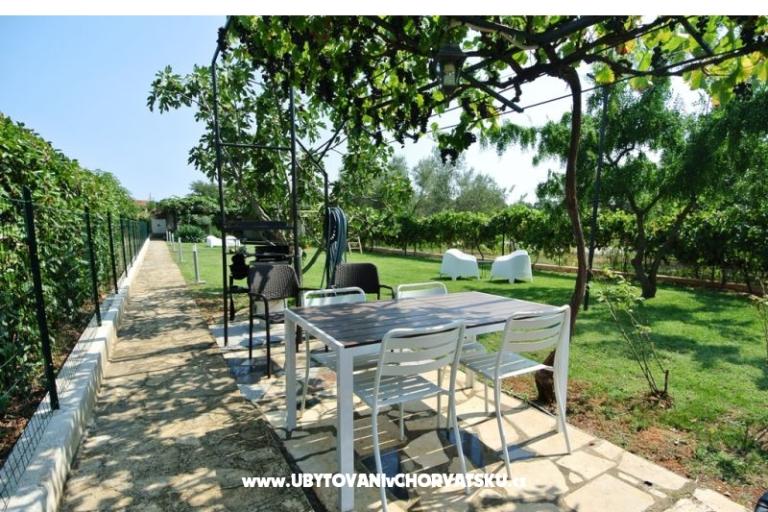 Apartamenty Sofia – foto 4