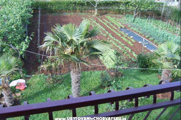 Apartamenty Zova – foto 8