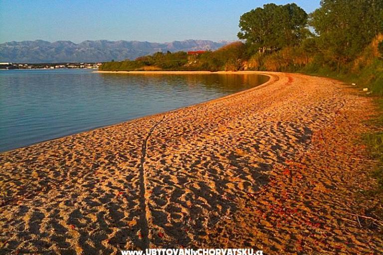 Apartamenty Luca – foto 8