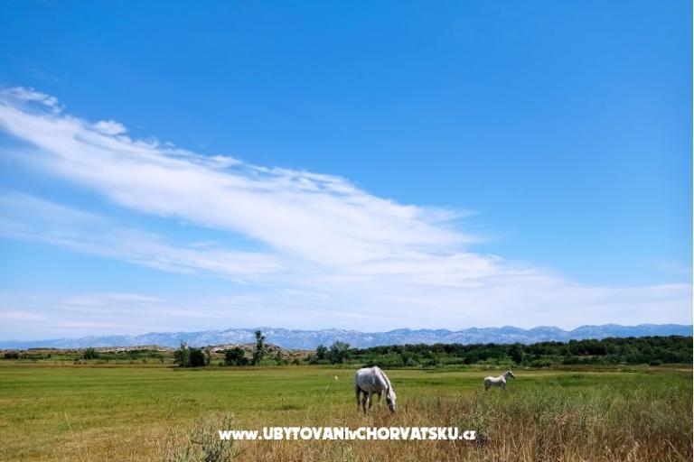 Holiday Home POMALO – foto 28