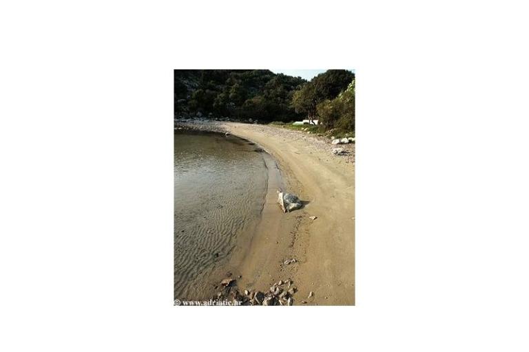 Apartamenty Sisul – foto 18