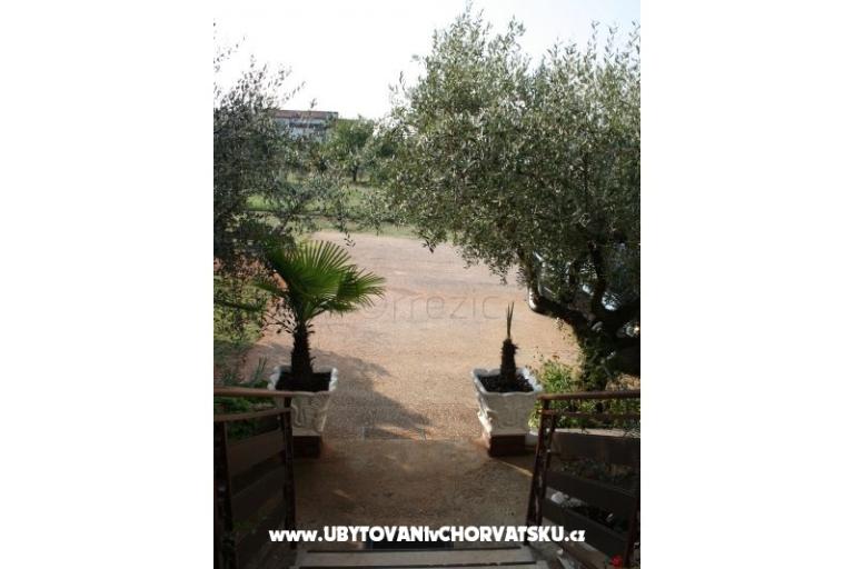 Apartament Adriana Stancijeta – foto 9
