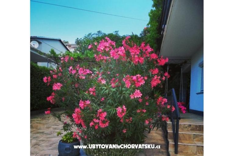 Apartamenty BUTKOVIĆ DUBRAVKA – foto 12