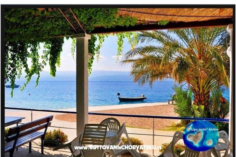 u2 adria – foto 13