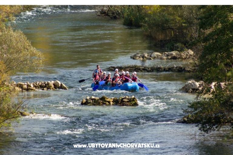 Apartamenty Daniela – foto 14