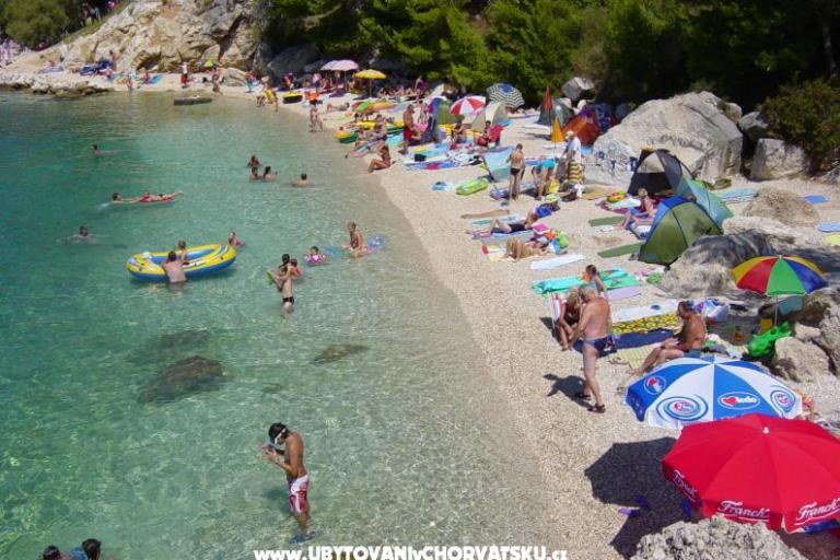 Apartamenty Ivan i Ian  – foto 4