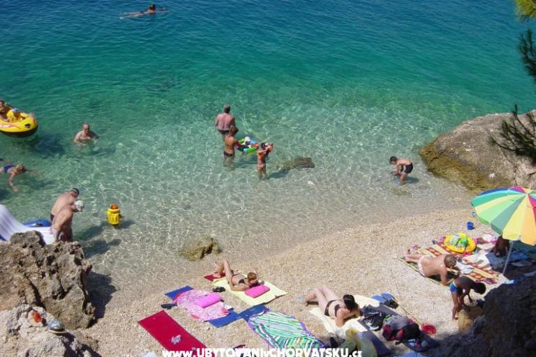 Apartamenty Ivan i Ian  – foto 5