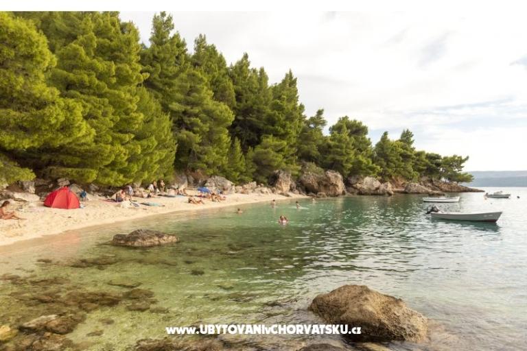 Apartamenty Ivan i Ian  – foto 8