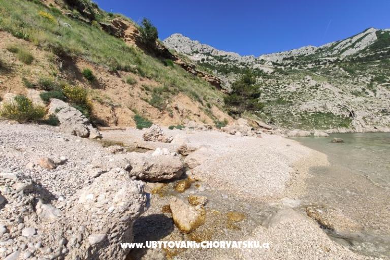 Apartamenty Ivanka – foto 11