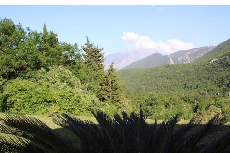 Vila Musa – foto 23