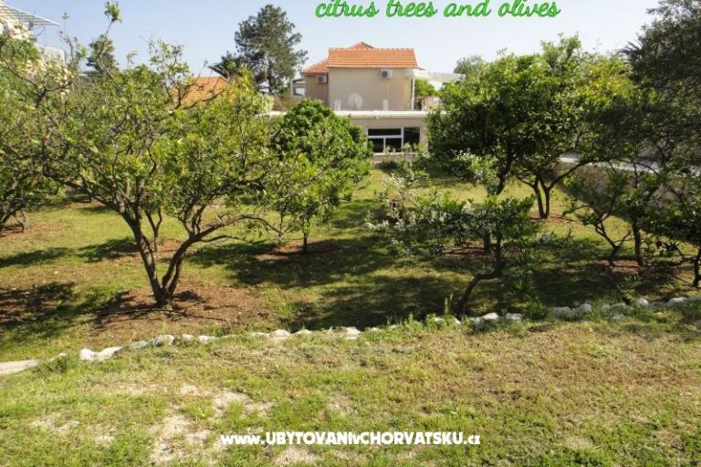 Apartamenty Pretner – foto 14