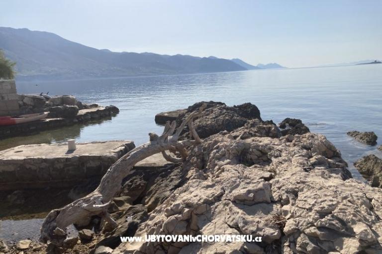 Apartamenty Ruvo – foto 17