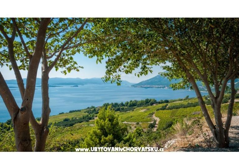 Apartamenty Sveti Anton Orebic – foto 10