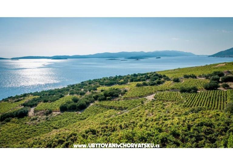 Apartamenty Sveti Anton Orebic – foto 12