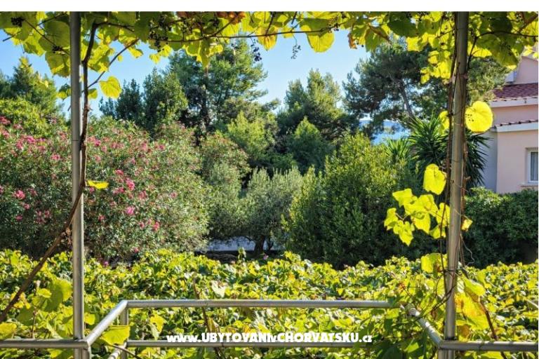 Dom  Mokalo – foto 16