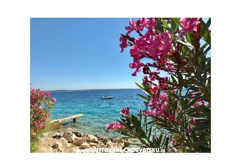 Apartamenty Villa Ana – foto 16