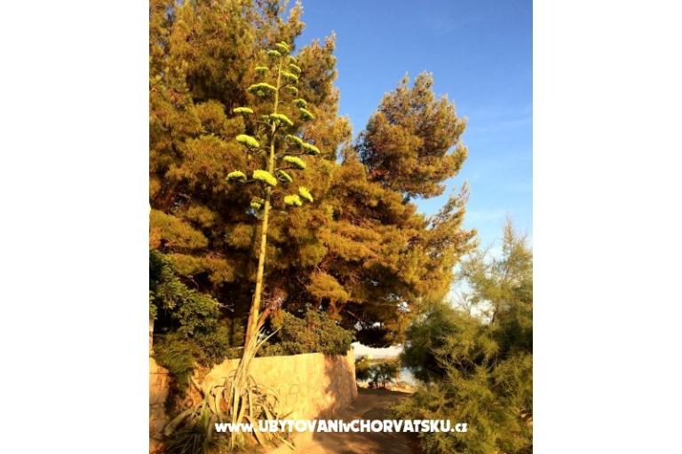 Apartamenty Marin – foto 16