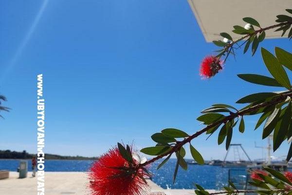 Apartamenty Tomic – foto 10