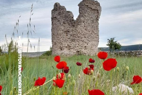 Apartamenty Tomic – foto 11