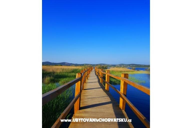 Apartamenty Tomic – foto 14