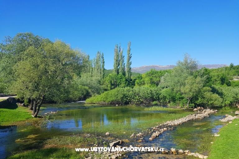 Apartamenty Tomic – foto 3