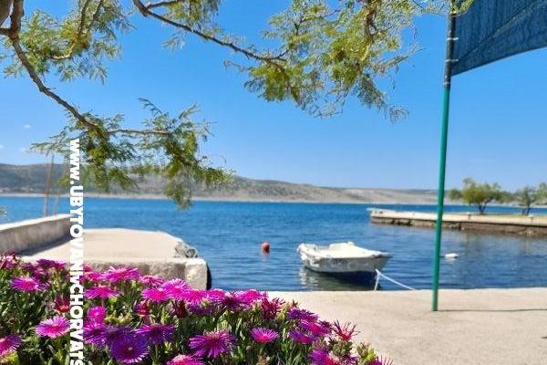 Apartamenty Tomic – foto 8