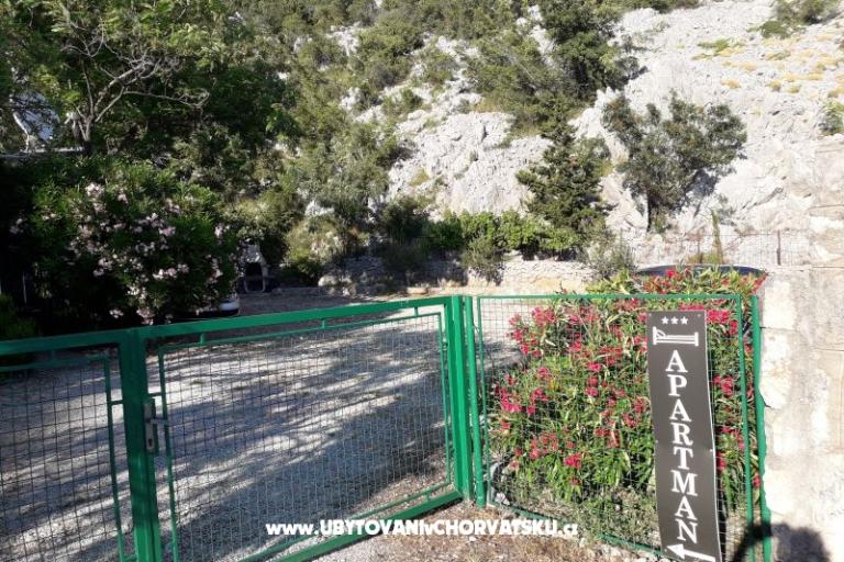 Dom wakacyjny Beli – foto 15