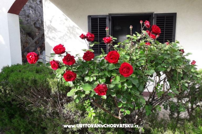 Dom wakacyjny Beli – foto 6