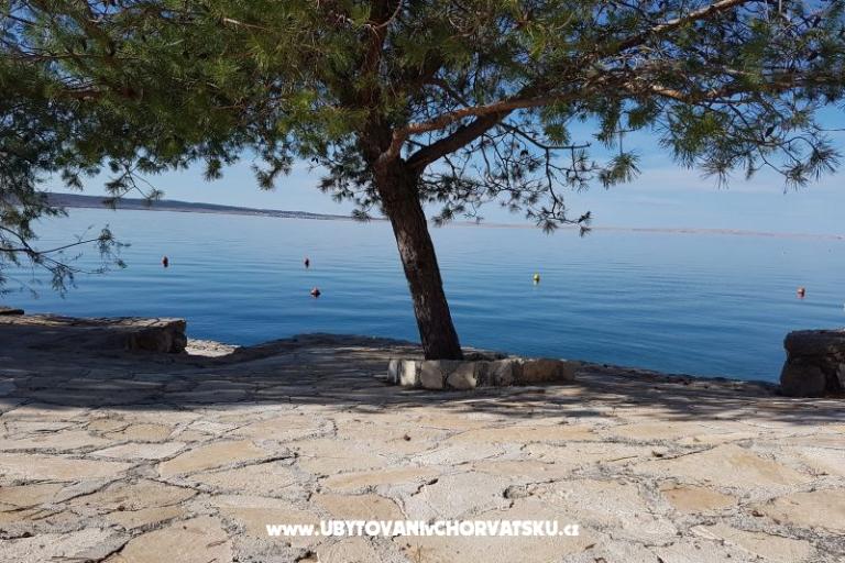 Apartamenty Bosi i Goli – foto 15